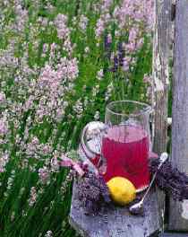 Lavender Lemonade