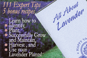 111 Expert Tips