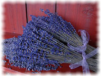 dried lavender bundles