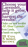 111 Lavender Tips Booklet