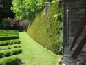 nicely manicured