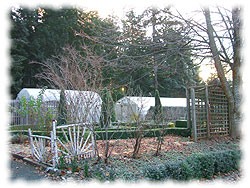 Sleeping greenhouses
