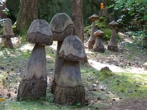 mushroom forest