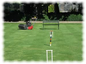 croquet lawn and mower