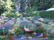 How Does Your Garden Grow